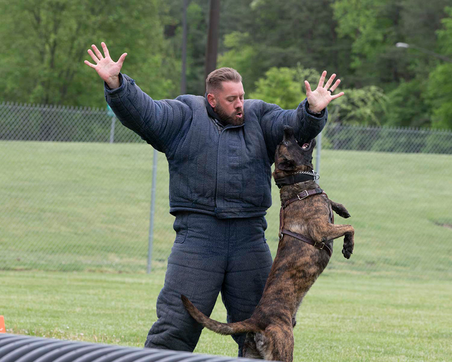 Secret Service trainee with a dog