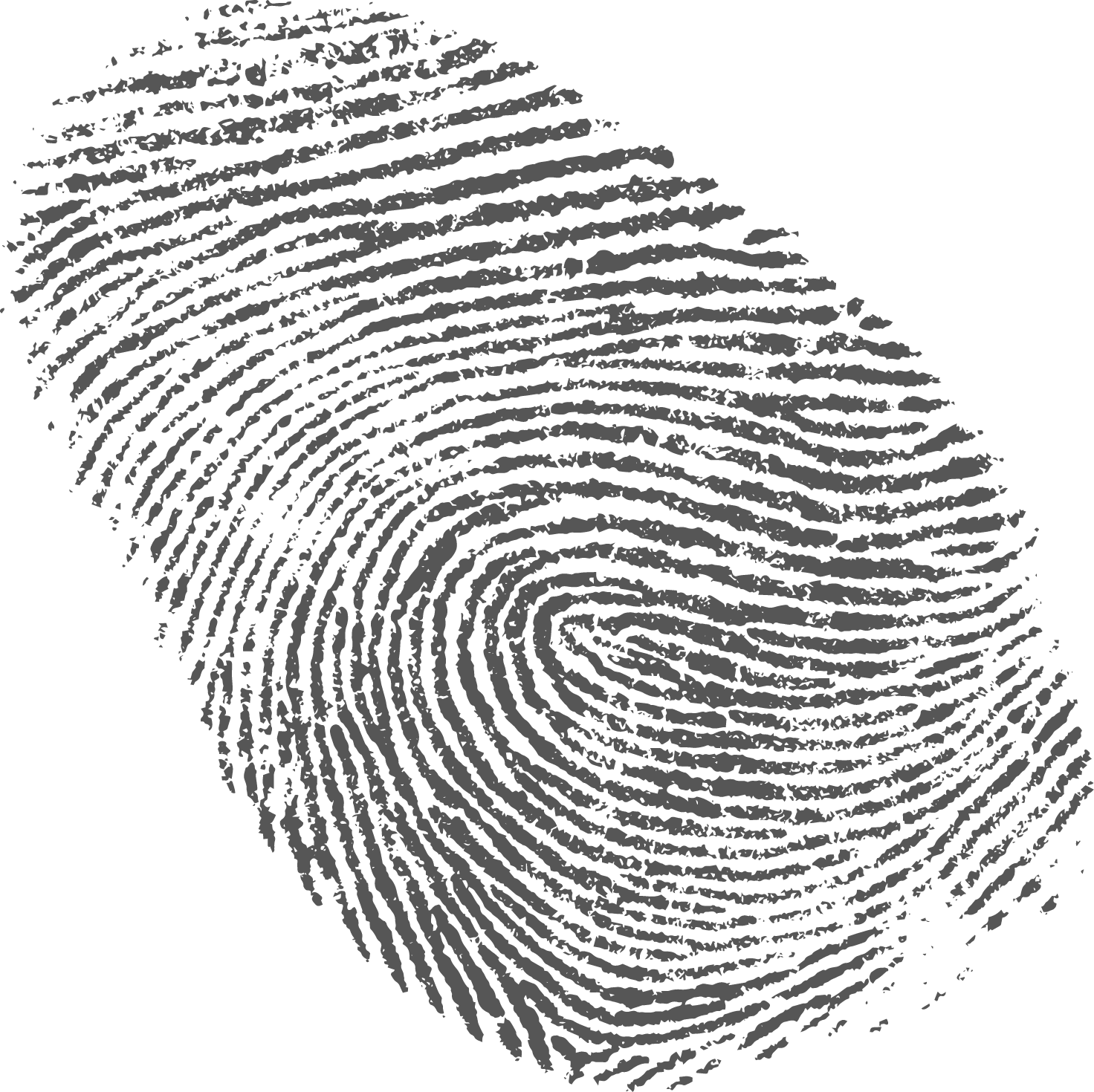 Graphic of a fingerprint.
