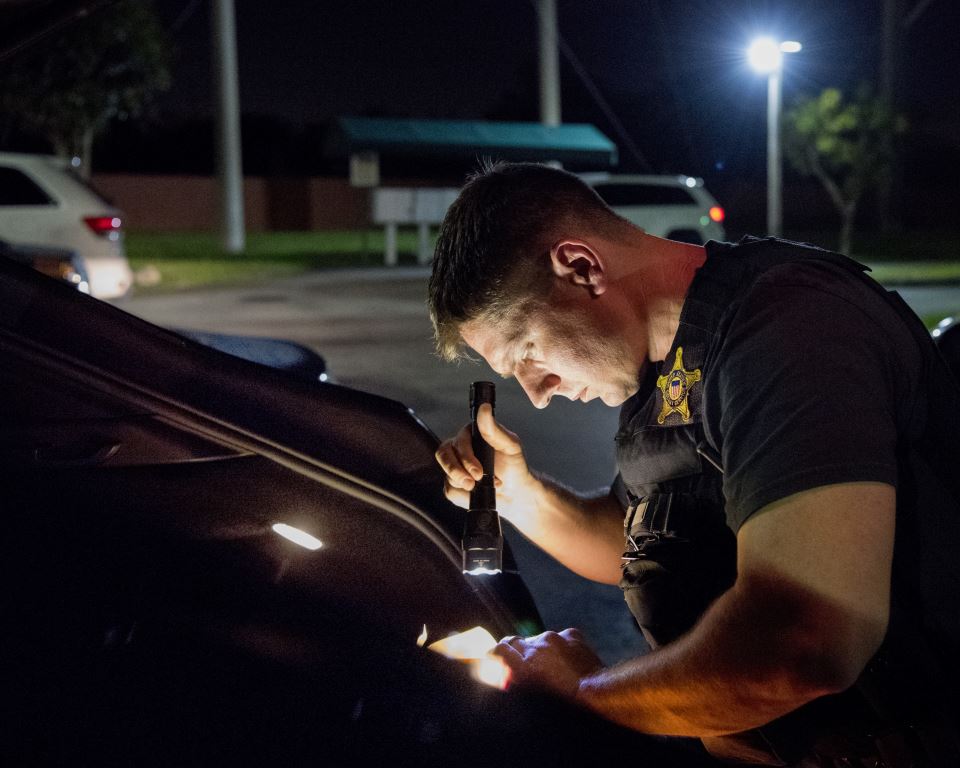 Our vision is to uphold the tradition of excellence in our protective and investigative missions through a dedicated, highly trained, and diverse workforce that promotes professionalism, and employs advanced technologies in support of our programs and activities.