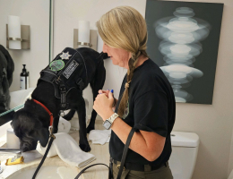 Electronic Detection Dogs train in both indoor and outdoor environments.