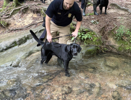 Electronic Detection Dogs train in both indoor and outdoor environments.